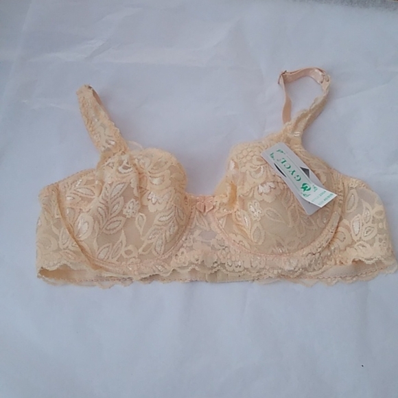 Peach Khaki Lace Push-up Bra, Small - Picture 3 of 14